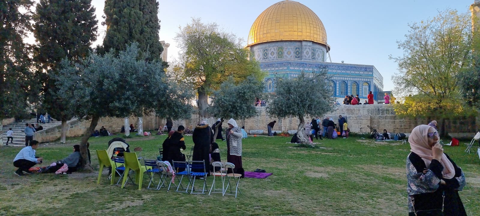 WhatsApp Image 2022-04-11 at 6.49.49 PM.jpeg